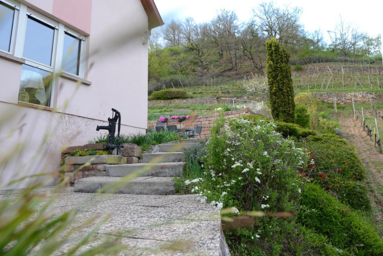 Apartment Les Glycines Du Sommerberg